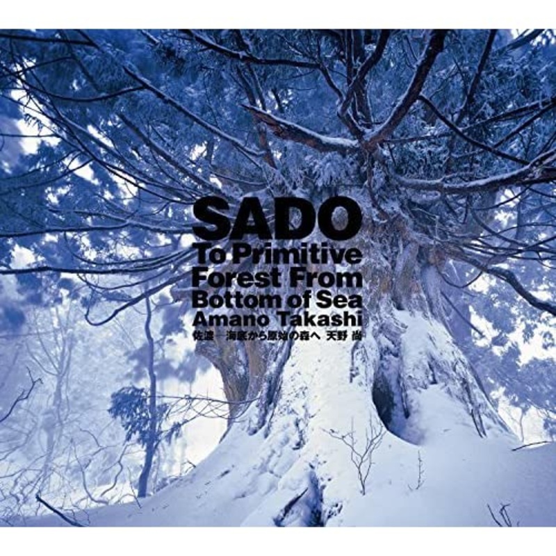 ADA SADO (english)