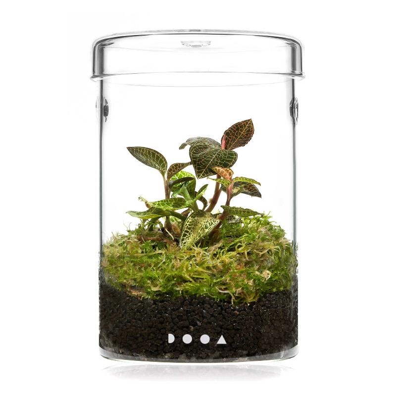 DOOA Glass Pot Maru 95