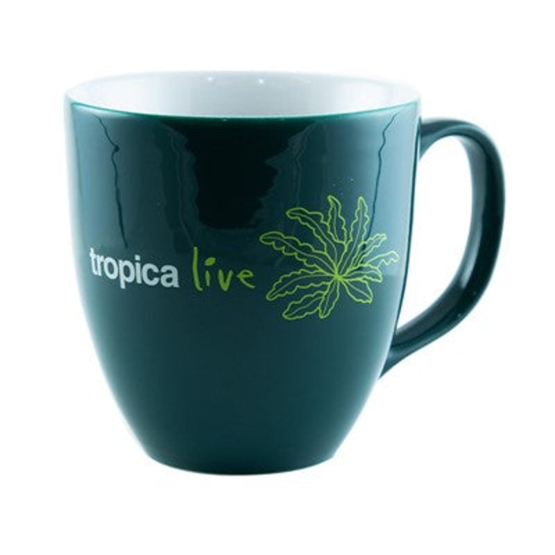 Tropica Live Mug 'Pogostemon helferi'