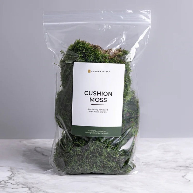 Cushion Moss Large bag
