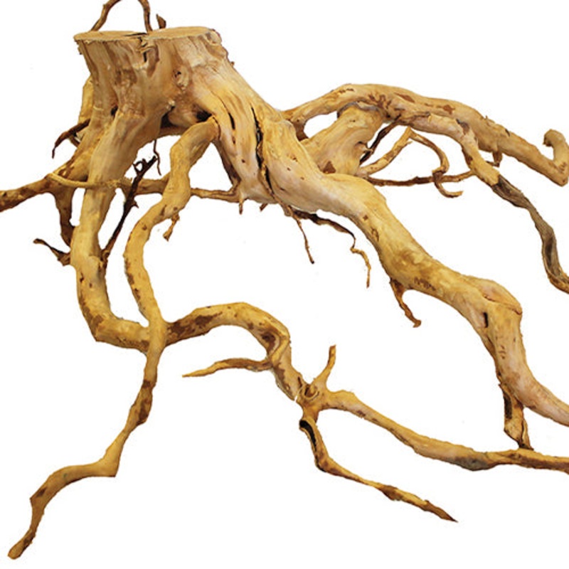 Redmoor Root Wood 120-150cm - XXXL