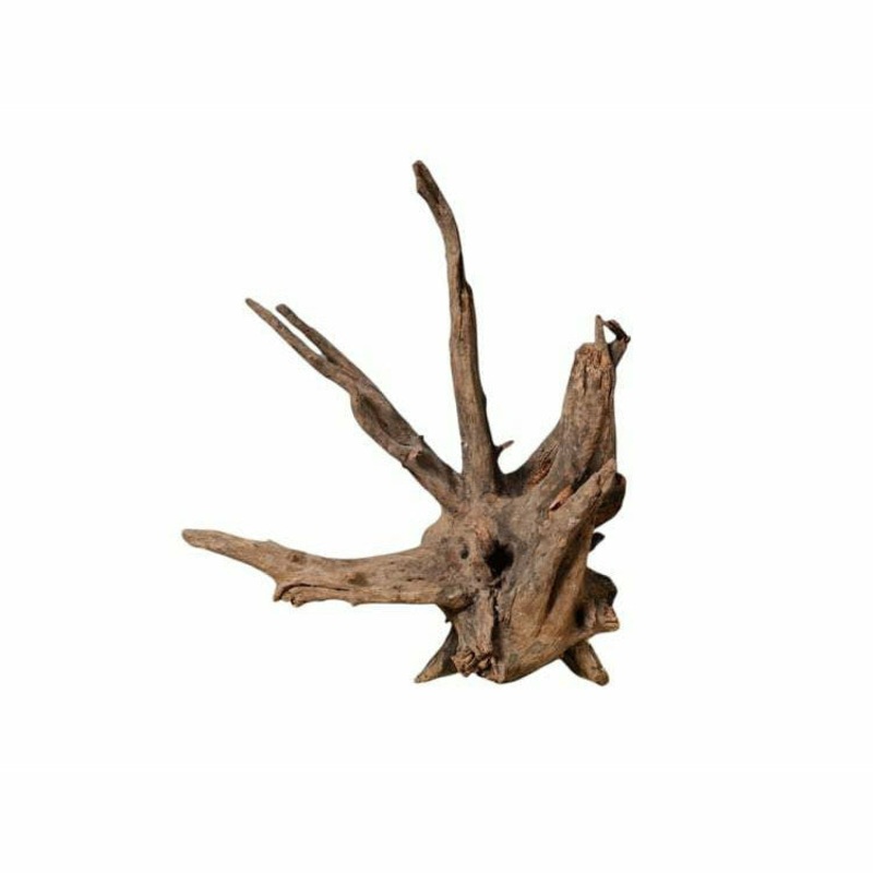 Tree root Large 31-40cm