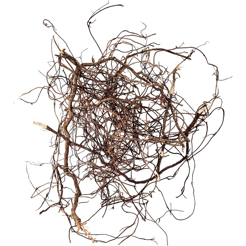 WIO Mini Root - 80g