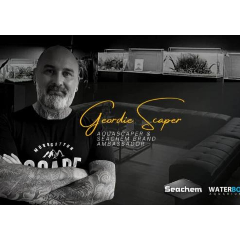 2021 Aquascaping Workshop - Geordie Scaper (Video available to watch)