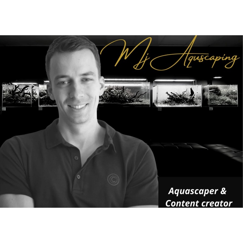 2022 Aquascaping Workshop - MJ Aquascaping (Video available to watch)