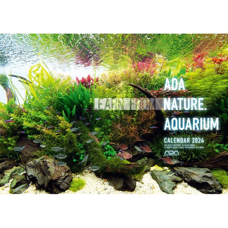 ADA Calendar 2024 (art posters can be used after)