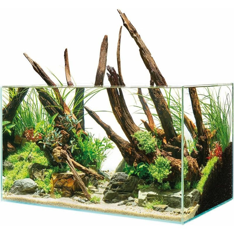 Oase Scaperline 60 Aquarium