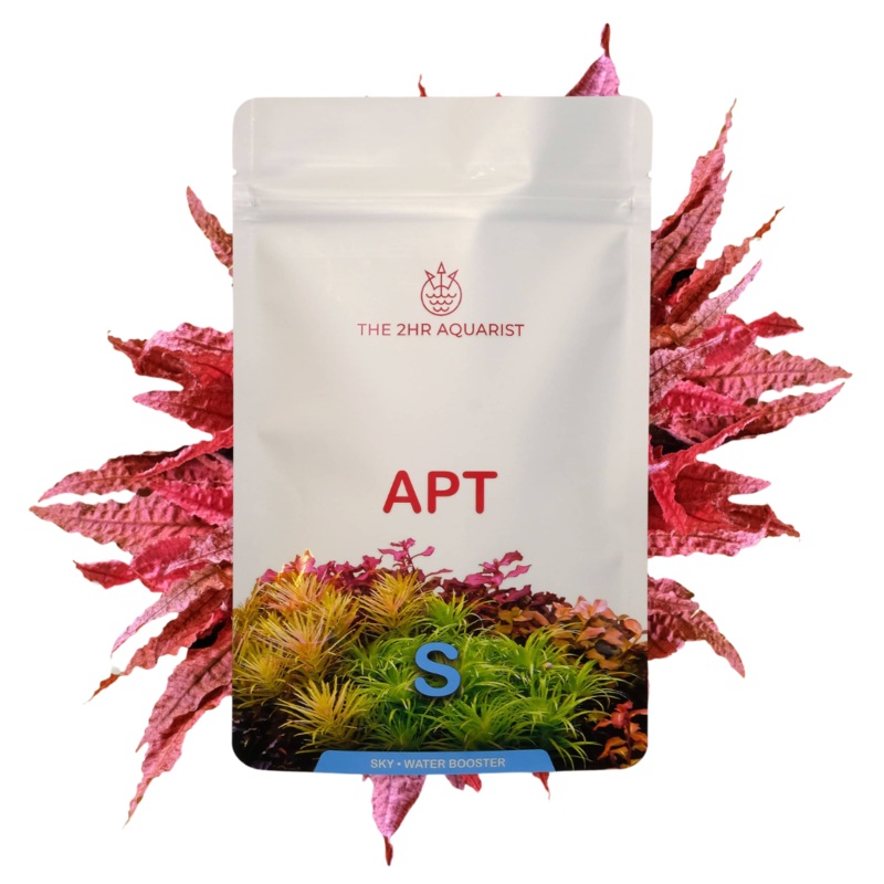 2hr Aquarist APT Sky