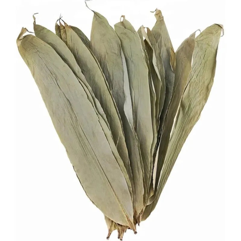 Bamboo Leaves Large by Natural collection