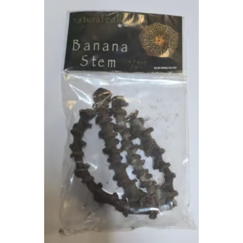 Banana Stem by Natural Collection