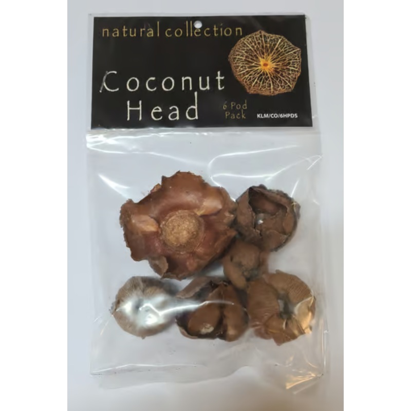 Coconut Head by Natural collection