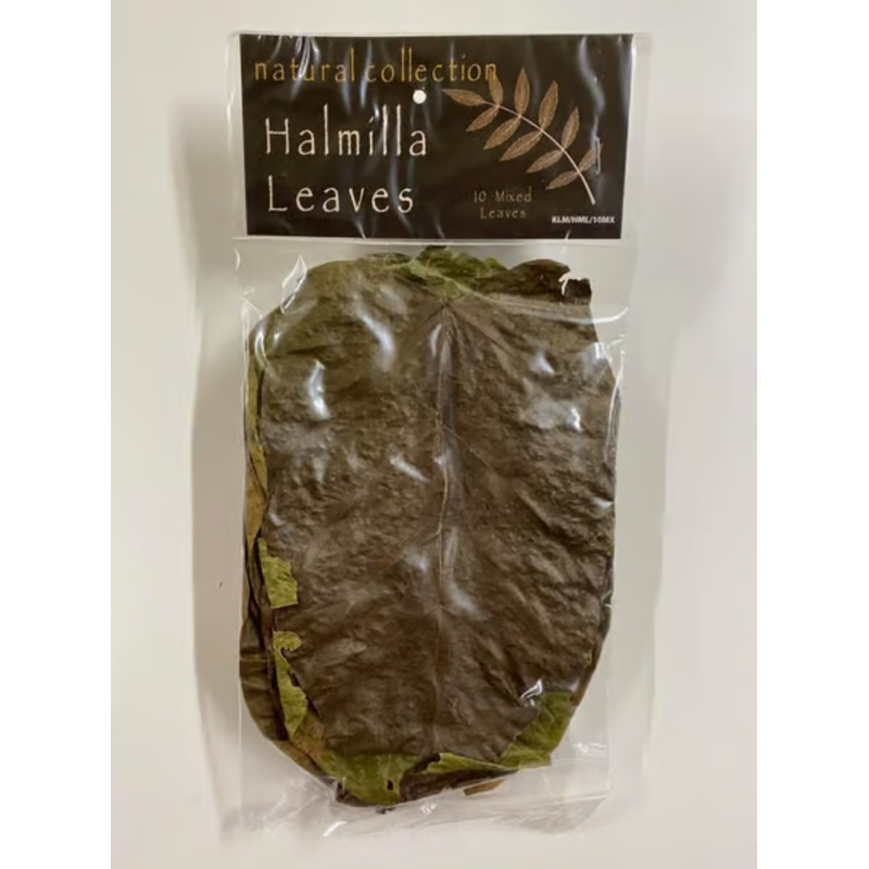 Halmilla Leaves by Natural Collection
