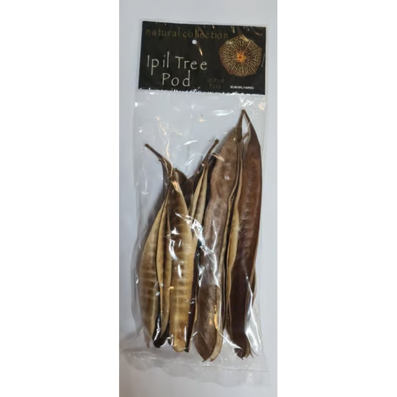 Ipil Tree Pods by Natural Collection
