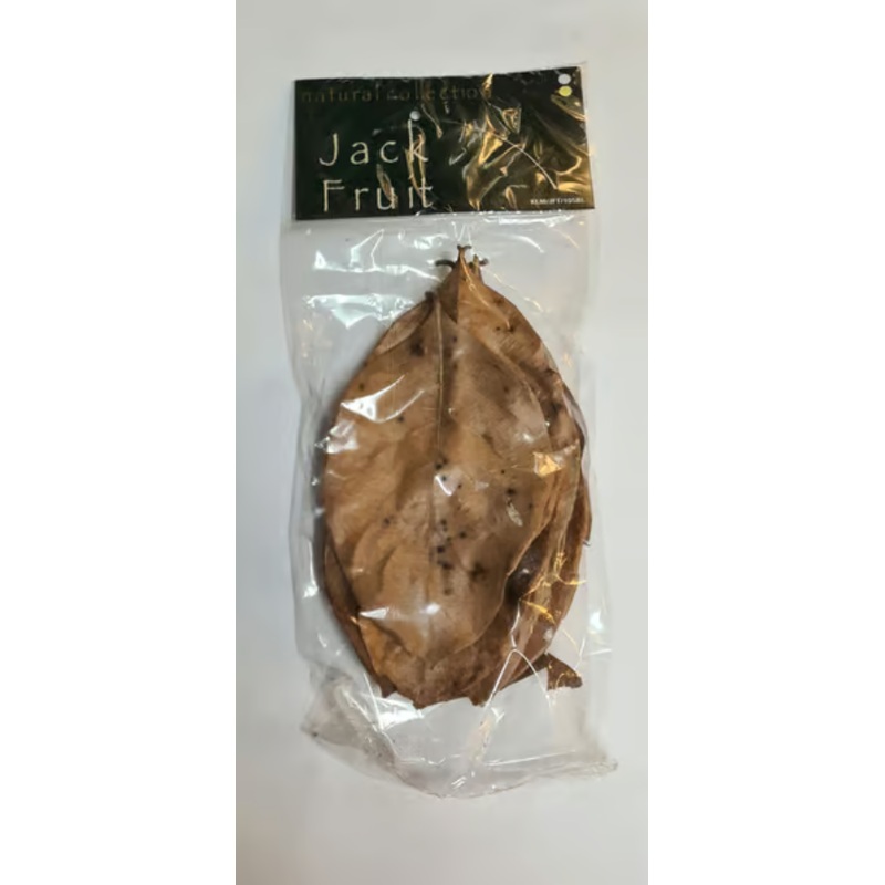 Jack Fruit Leaves large by Natural Collection