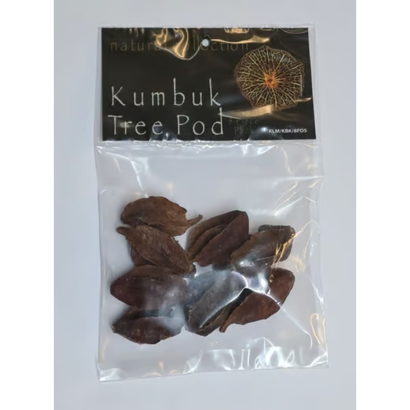 Kumbuk Tree Pods by Natural Collection