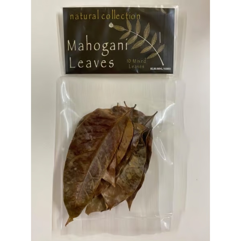 Mahogani Leaves by Natural Collection