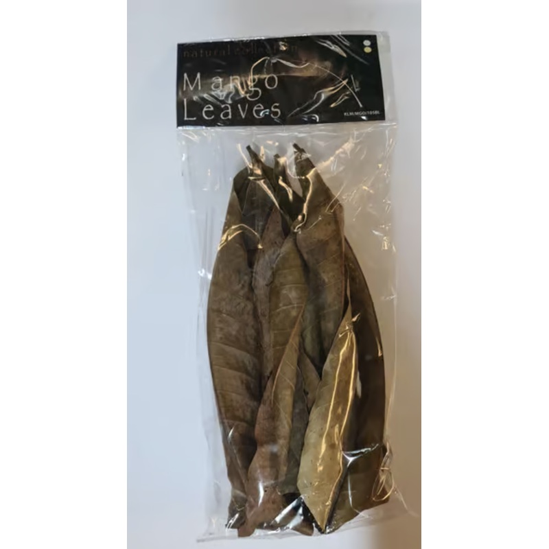 Mango Leaves large by Natural Collection