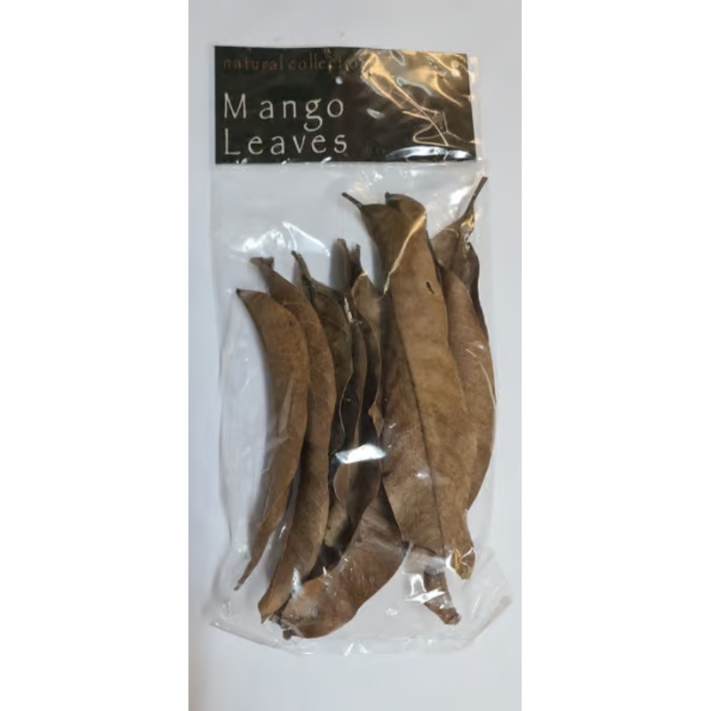 Mango Leaves small by Natural Collection