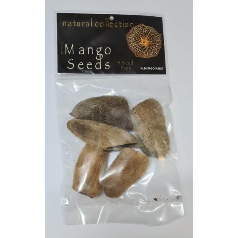 Mango seeds by Natural collection