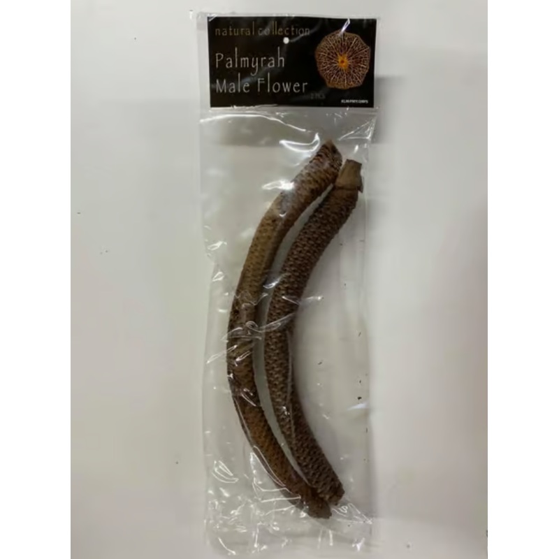Palmyrah Stem by Natural Collection