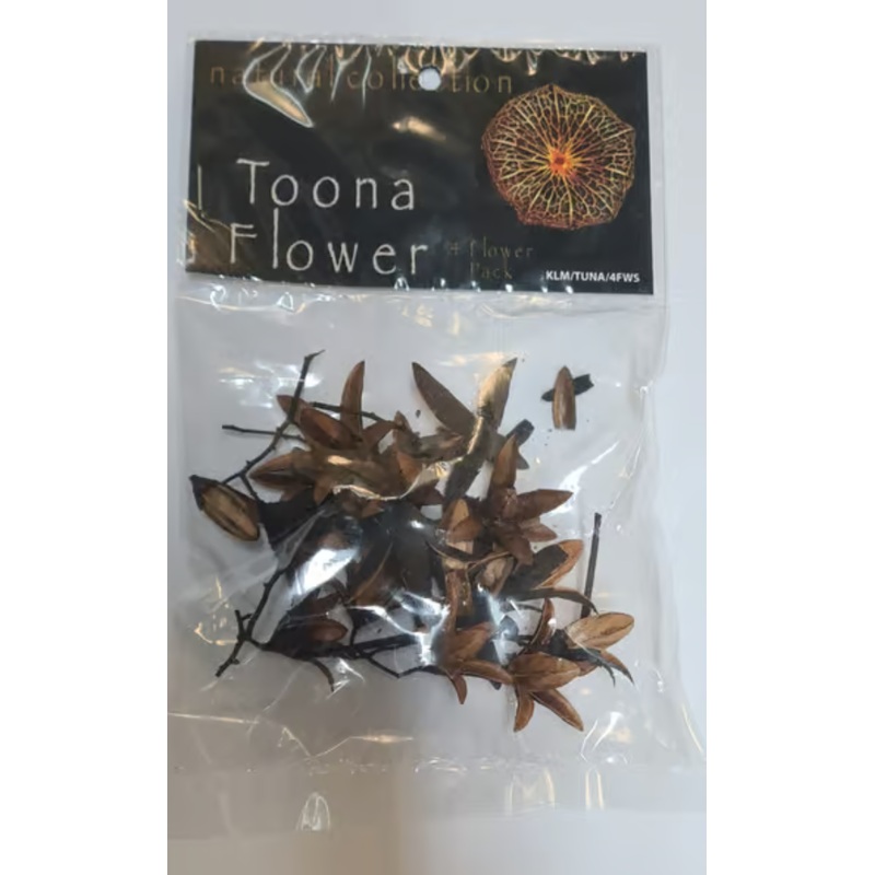 Toona Flower by Natural collection
