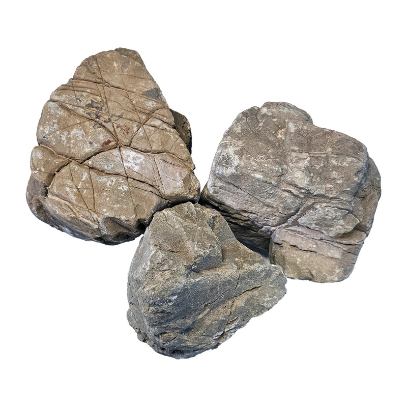 Elderly Stone