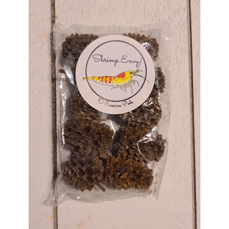 CASORINA PODS