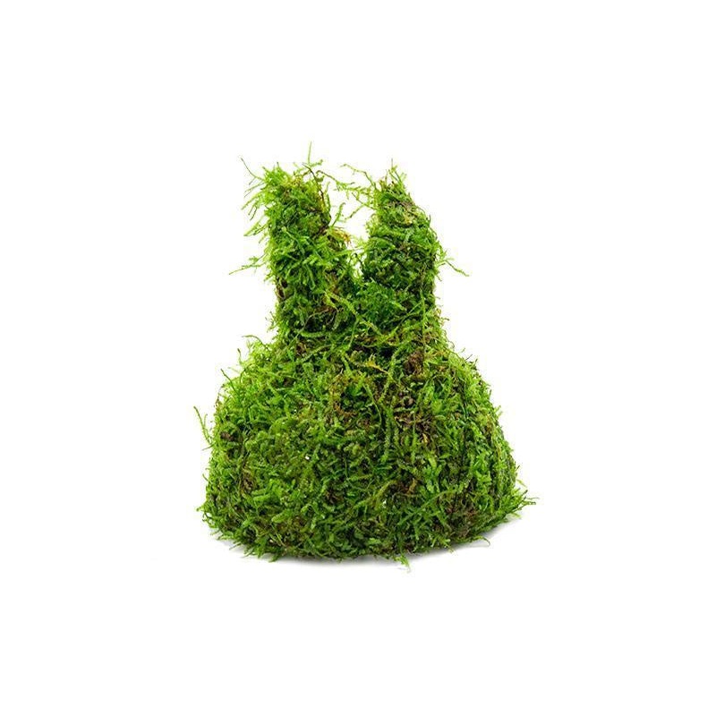 Christmas Moss on Coconut Rabbit