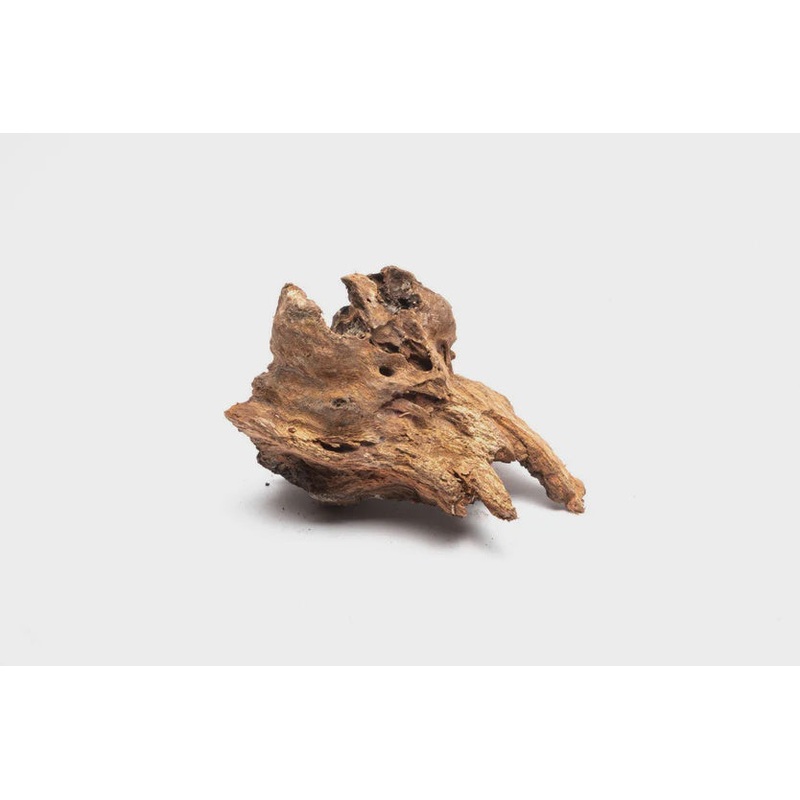 Driftwood Stump