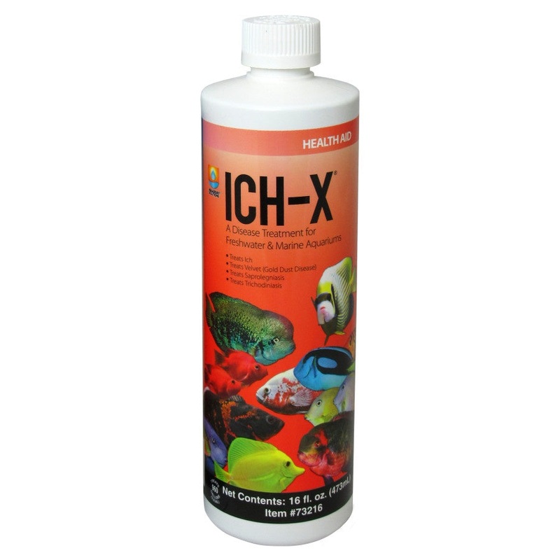 ICH-X - 16 oz. - Freshwater
