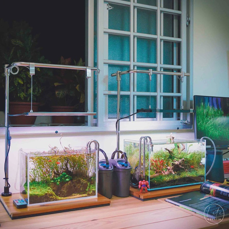 Litiaquaria Stainless Steel Lighting Stand (Desk Mount)