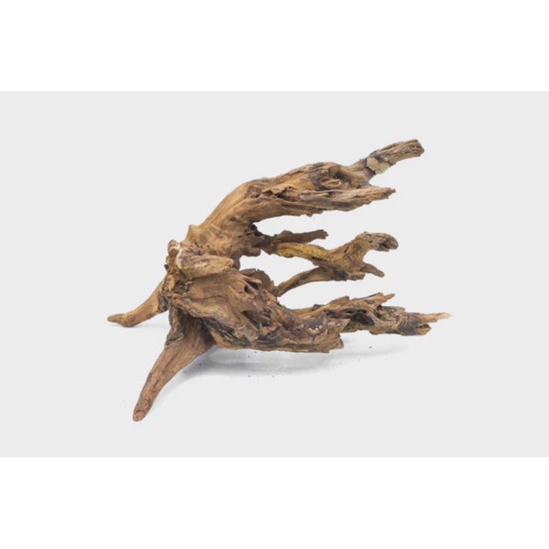 Pacific Driftwood