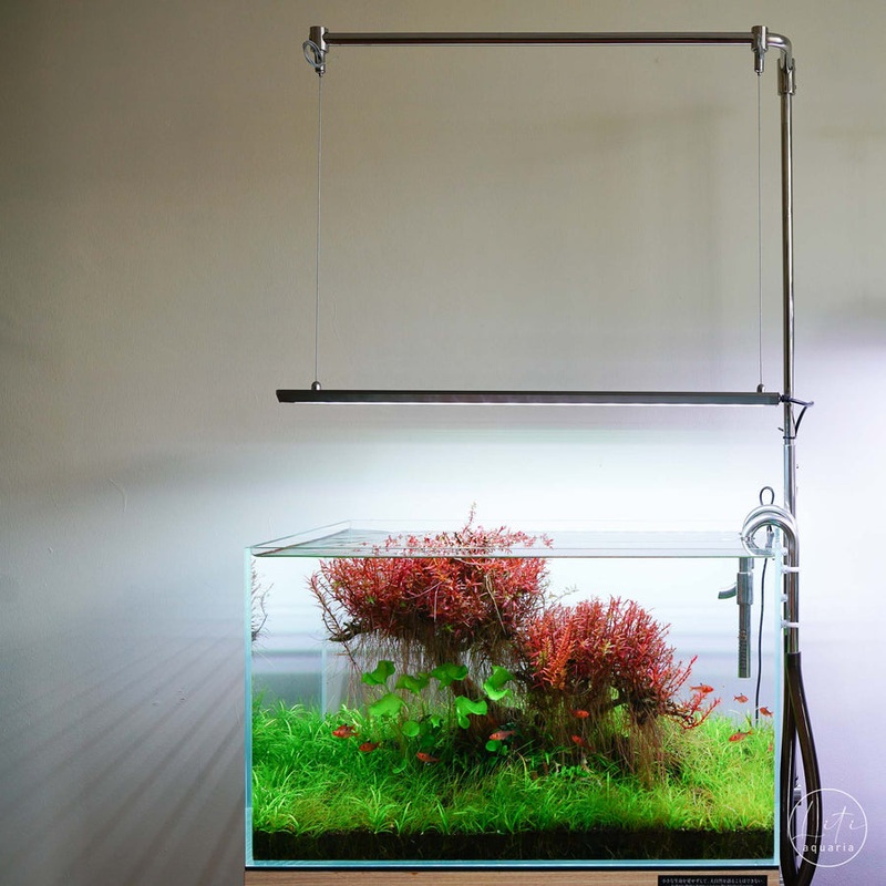 Litiaquaria Stainless Steel Lighting Stand (Cabinet Mount)