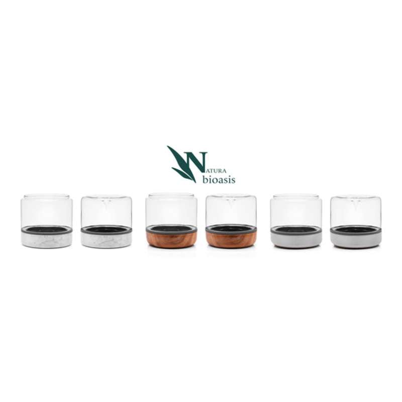 Natura Terrarium