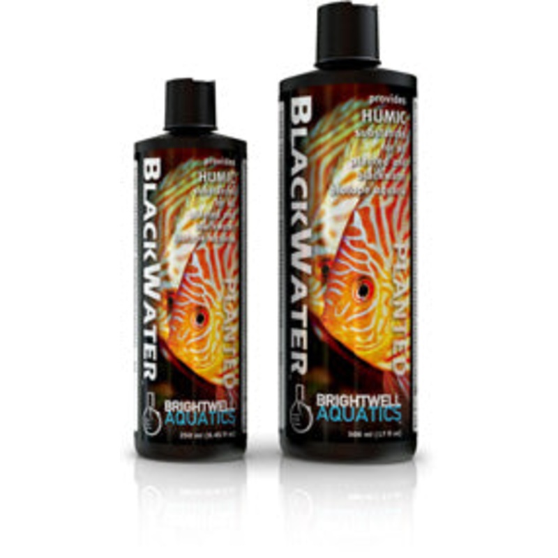BRIGHTWELL BLACKWATER