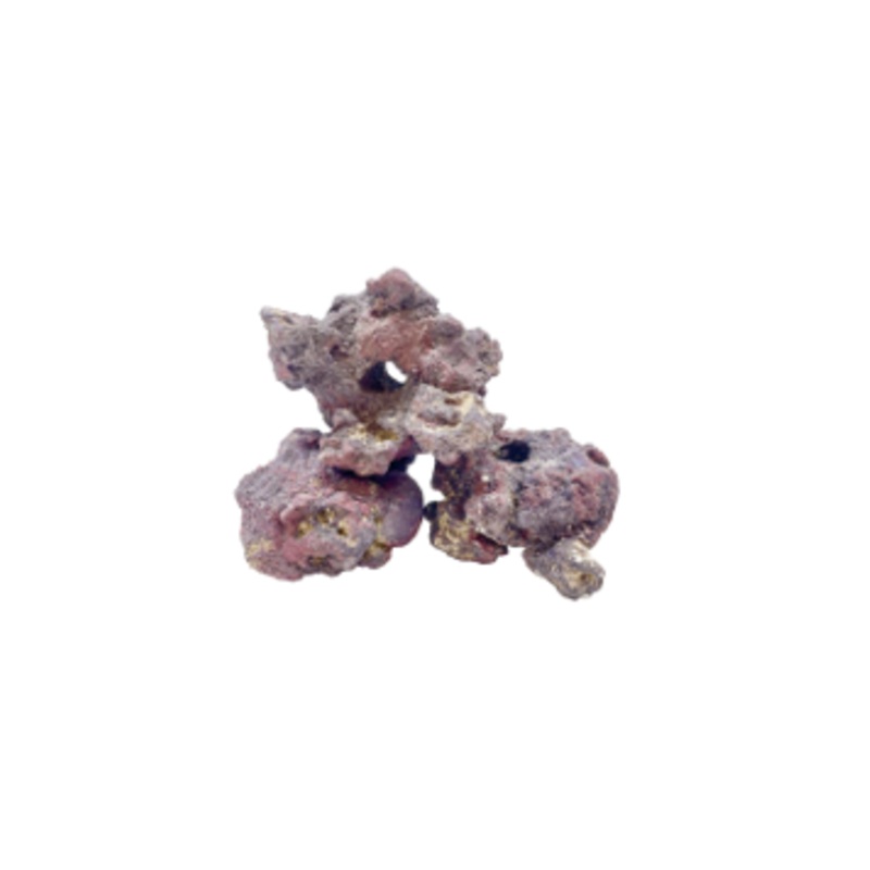 CARIBSEA  LIFEROCK FRAGGERZ 1 PIECE