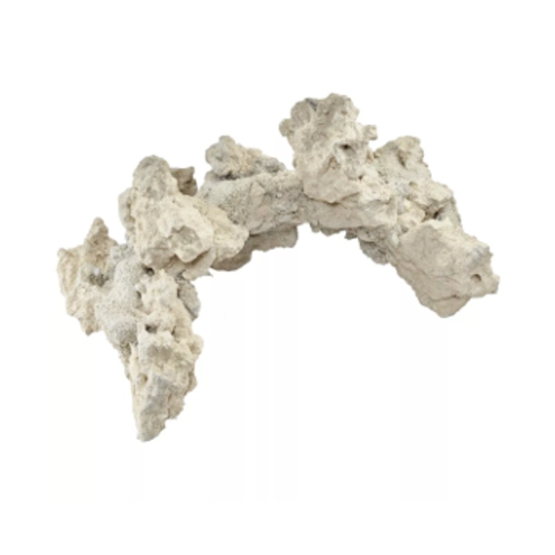CARIBSEA  SOUTH SEAS ARCHES 12"