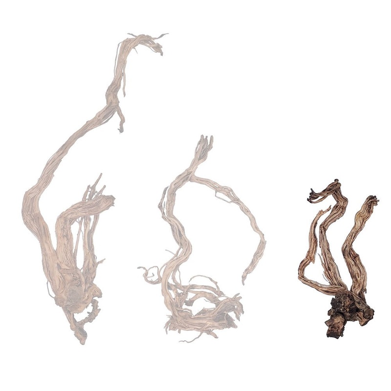 Dragon Root