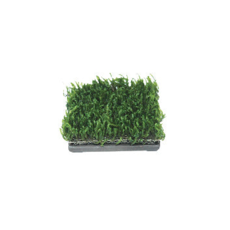 ISTA  LG SQUARE WATER PLANT CULTIVATION  CERAMIC 3