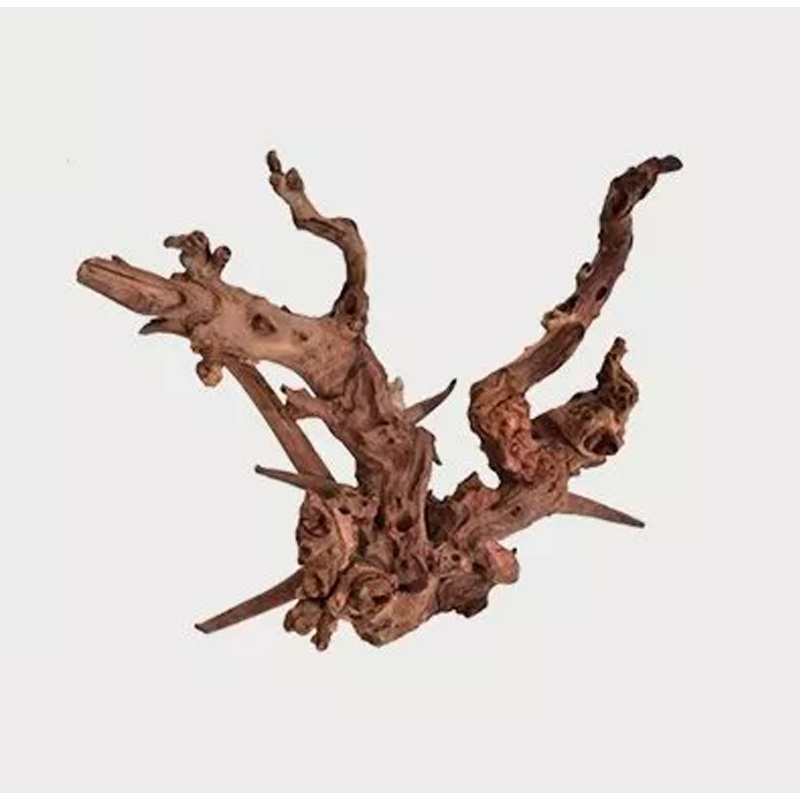 Jangle Wood