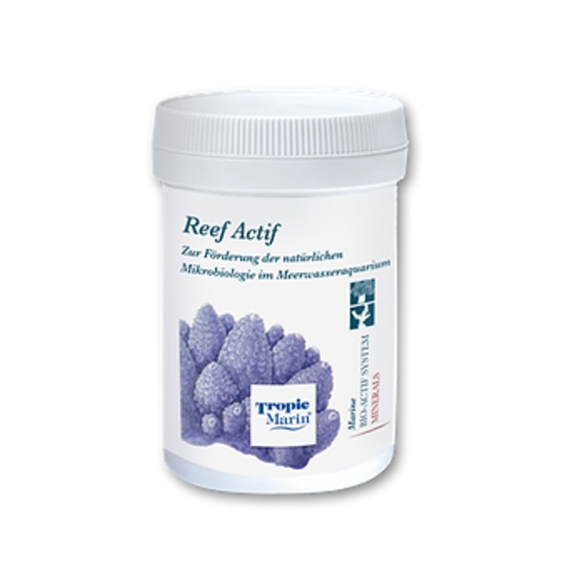 REEF ACTIF