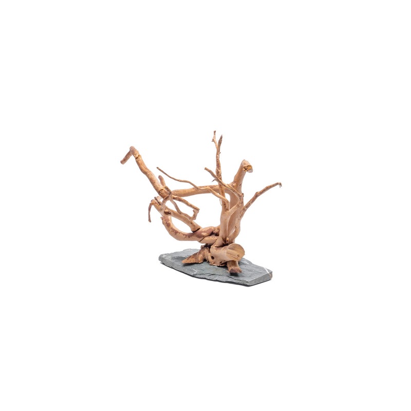 Spiderwood Slate