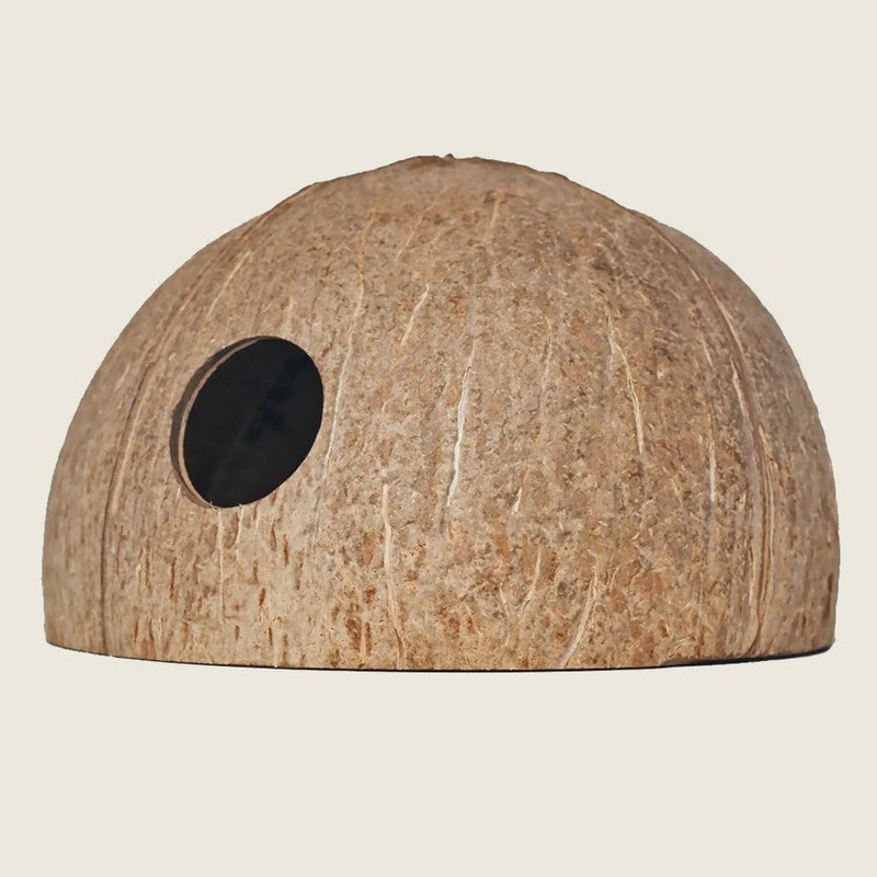 Coconut Hut