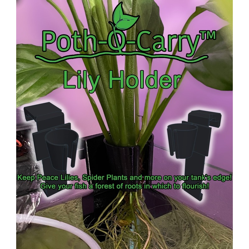POTH-O-CARRY LILY HOLDER