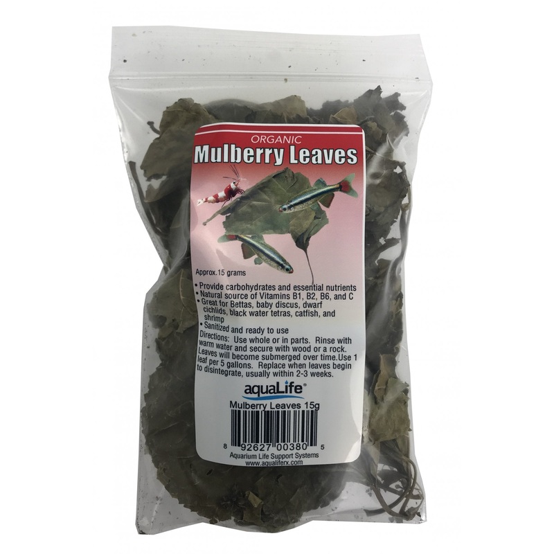 AquaLife Mulberry Leaves Approx. wt. 15 grams