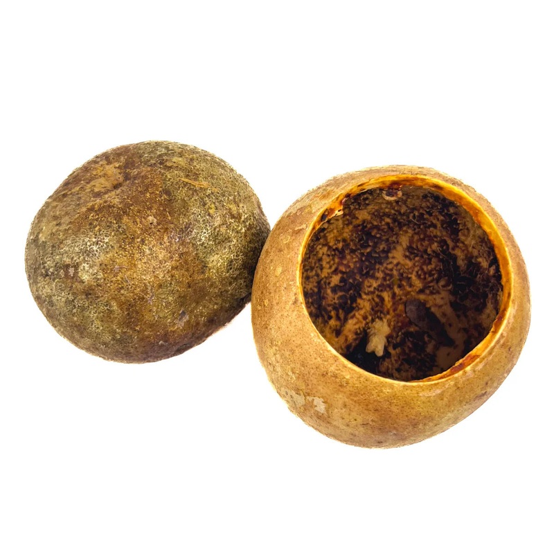 Bael Tree Pods 1c