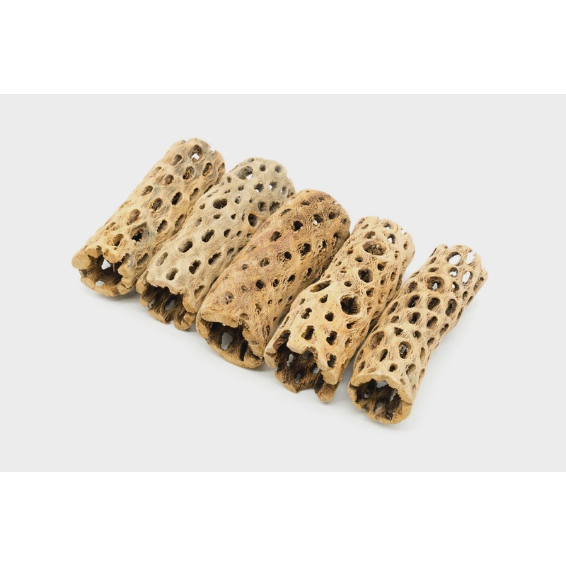 CHOLLA DRIFTWOOD STICKS 6 INCH 2 pack
