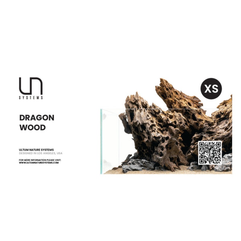 Dragon Wood Hang Tag