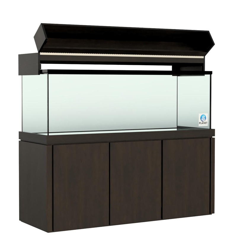 ELEGANCE CANOPY