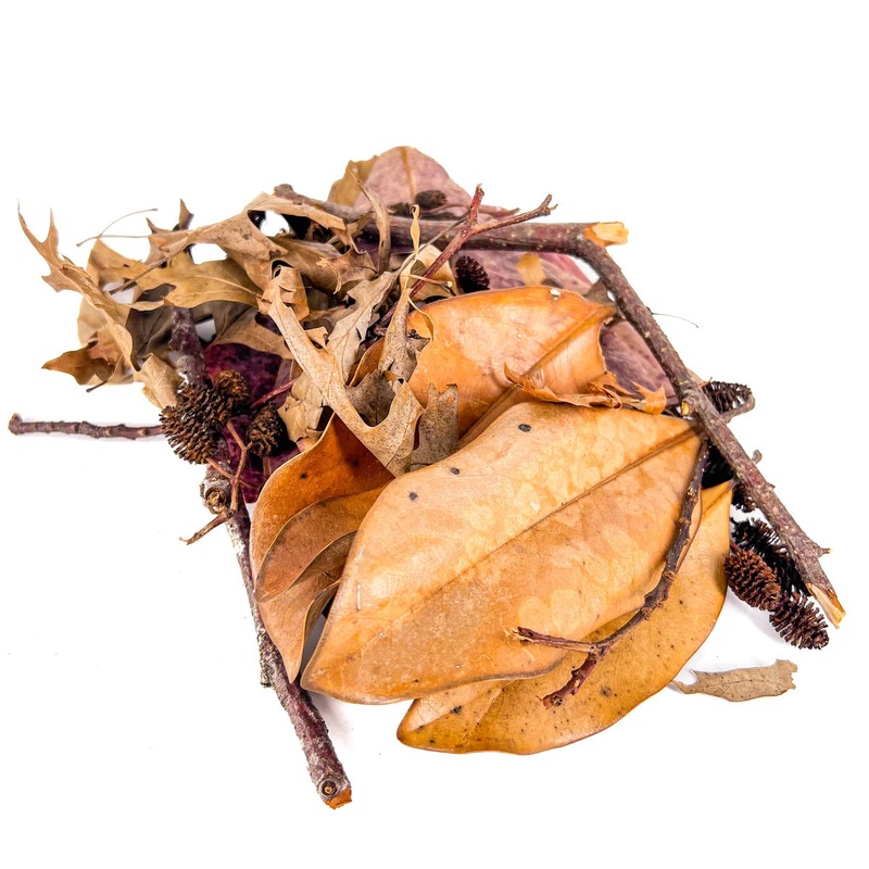 TanninBae Botanical Variety Pack